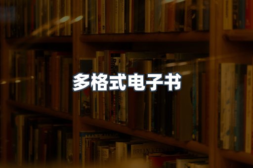 海外电子书